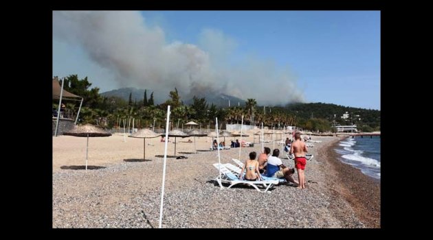 Bodrum’da orman yangını