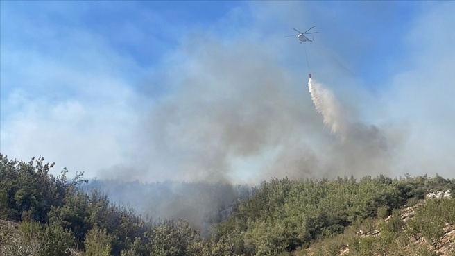 Mersin'de çıkan orman yangını kontrol altına alındı