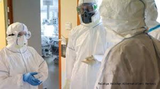 Prof. Ali Satar'dan korona uyarısı! Korona böcek ve sineklerle taşınabilir!