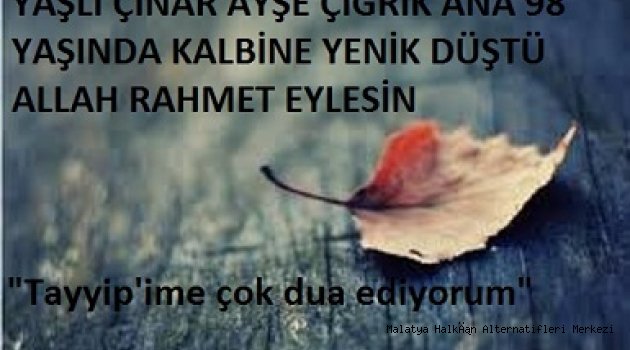 Sana vasiyetim "Oyunu Tayyip'e ver,ona dua et!"Demişti..