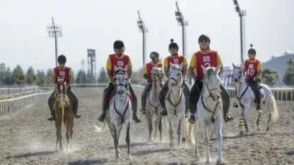 Atlı dayanıklılık (endurance) Sporu Nedir?